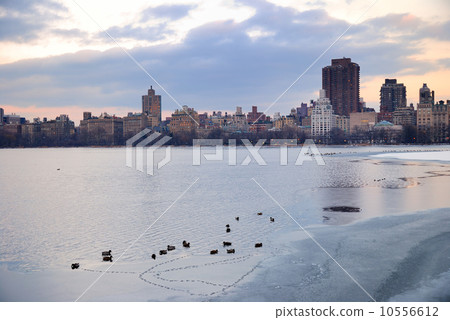 Central Park lake with New York City Skyline 10556612