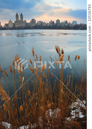 Central Park at dusk, New York City 10556793