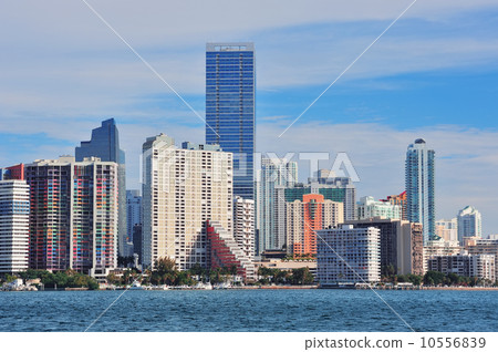 Miami urban architecture 10556839