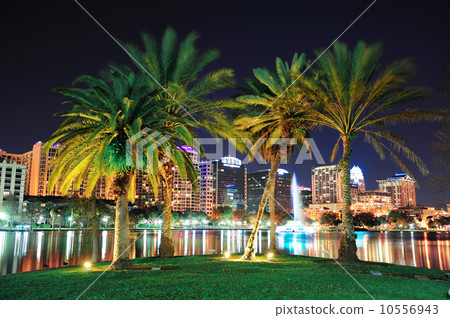 Orlando night scene 10556943