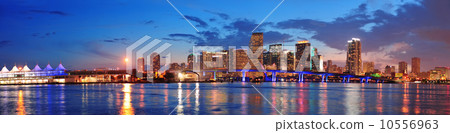 Miami night scene 10556963
