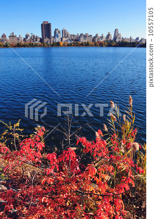 New York City Manhattan Autumn 10557105