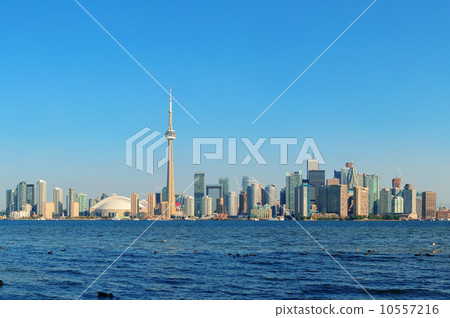 Toronto skyline in the day 10557216