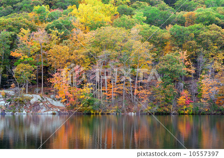 Bear Mountain lake Bear Mountain lake 10557397