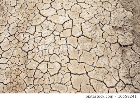 Soil texture, crack background 10558241