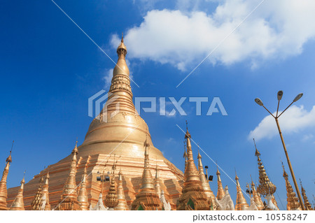 Shwedagon pagoda in Yangon, Burma (Myanmar) 10558247