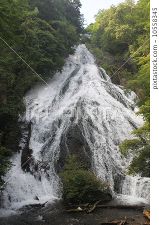 The entrance and exit of Senjogahara natural research road Nikko 3 people Falls waterfall 1 The entrance and exit of Senjogahara natural research road Nikko 3 people Falls waterfall 1 10558345