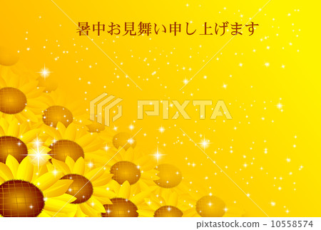 Momentary sightseeing sunflower background 10558574