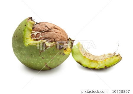 Green walnut peeled away 10558897