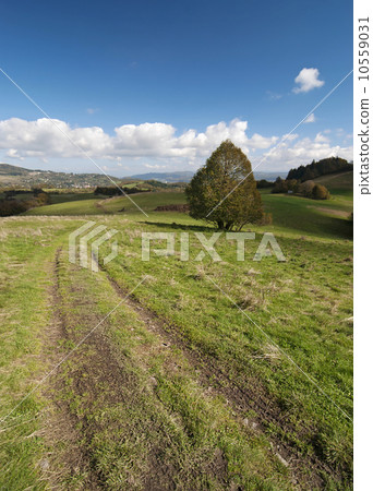 Path in the countryside 10559031