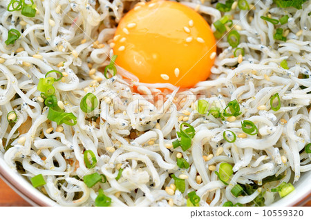 Shira  -  don（Shippama炸蝦）。 10559320