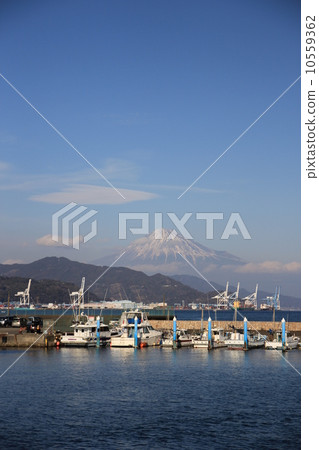 Mt. Fuji from Shimizu Port 10559362