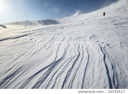 Wind pattern carved in the snowy field Wind pattern carved in the snowy field 10559517