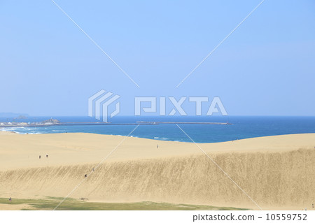 鳥取沙丘和日本海 鳥取沙丘和日本海 10559752