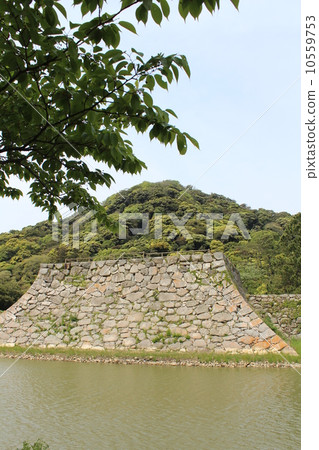 H城堡遺址 H城堡遺址 10559753