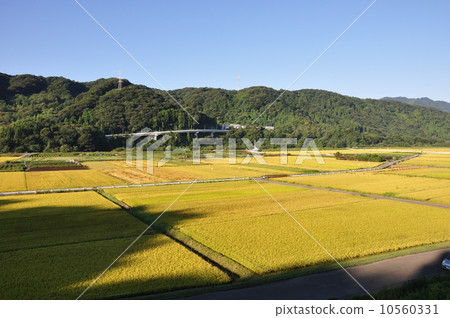 countryside countryside 10560331