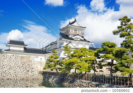 Toyama castle 10560602