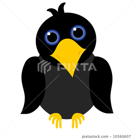 black crow  10560607