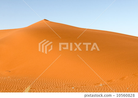 世界遺產納米布沙漠沙丘 10560828
