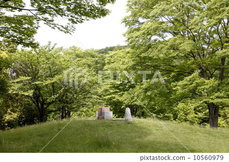 數百座山丘 數百座山丘 10560979