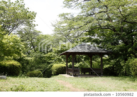 公園裡的一個公園 10560982