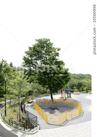 Park playset 10560998