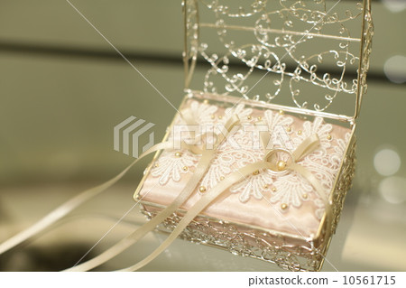 結婚戒指和戒指枕 10561715