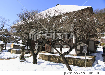 晴朗的天氣圓的寺廟在雪以後的 晴朗的天氣圓的寺廟在雪以後的 10562016