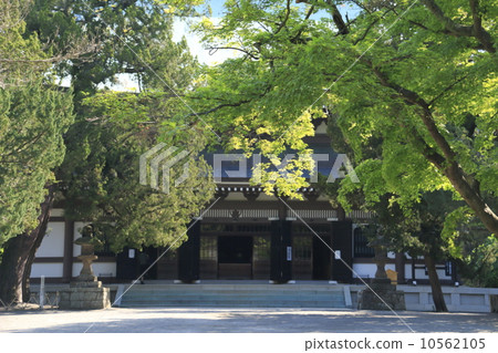 古河寺的新鮮綠色 10562105