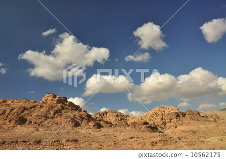 Sunny semi-desert day 10562175