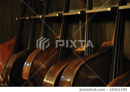 Contrabasses 10562190