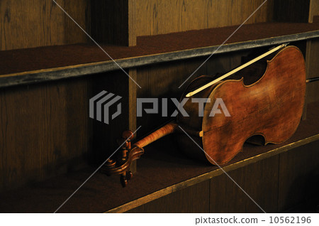 Violoncello Violoncello 10562196