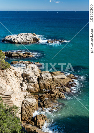 Sea Sea 10562300