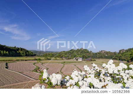 Scenery of Tamasuusa 10562366