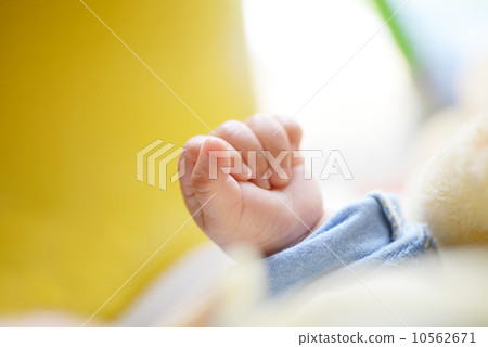 嬰兒手 10562671