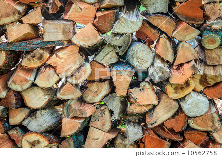 Firewood 10562758