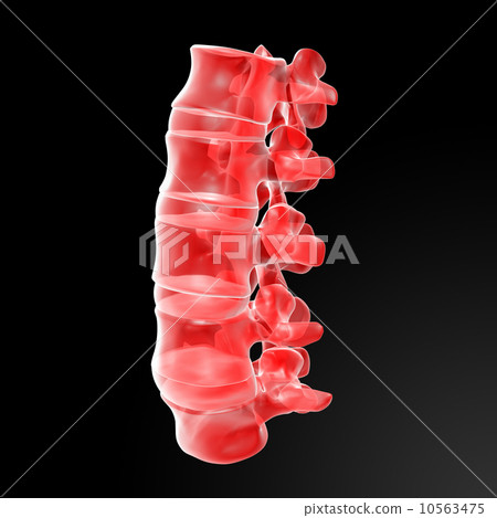 lumbar lumbar 10563475
