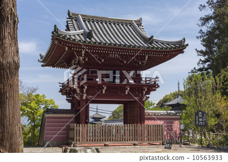 Taimaji寺塔門 10563933