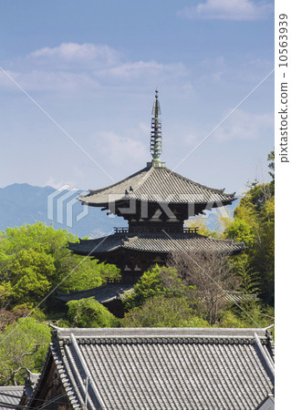 Tena-ji東塔 10563939