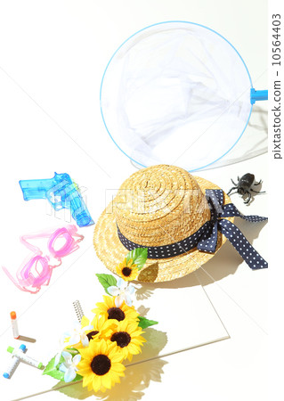 Summer vacation 10564403