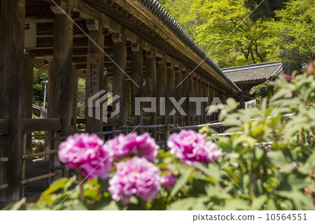 Hasegaji的攀登和和田 Hasegaji的攀登和和田 10564551