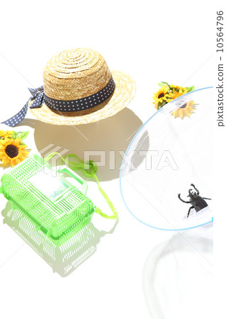 Insect collecting 10564796