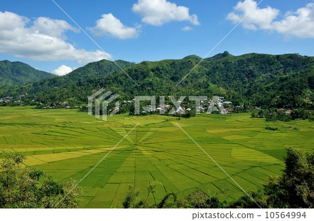 Spider web (cloud nested country) Spider web (cloud nested country) 10564994