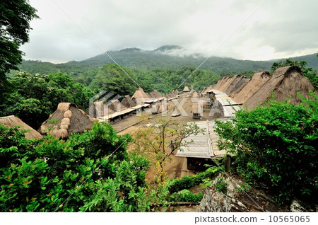 貝尼村 貝尼村 10565065