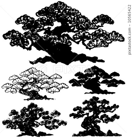 Pine Bonsai Brush Illustration Handwriting Pine Bonsai Brush Illustration Handwriting 10565422