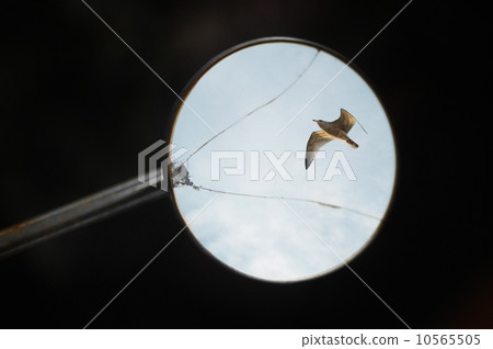 rearview mirror 10565505