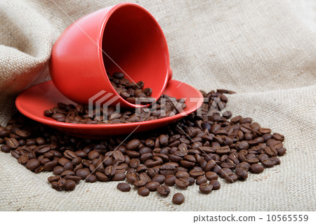 Coffee beans with a cup and saucer on sacking. Coffee beans with a cup and saucer on sacking. 10565559