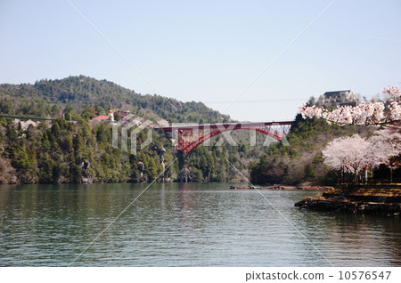 Enakyo的櫻花 10576547