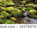 spring  10576678