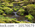 spring  10576679